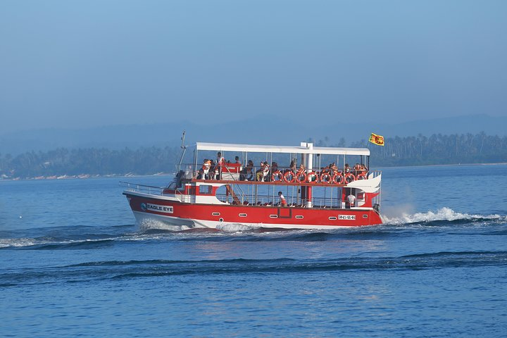 Whale Watching Mirissa with Eagle Eye - Photo 1 of 6